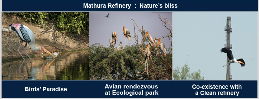 Mathura Rafinery :Nature's bliss