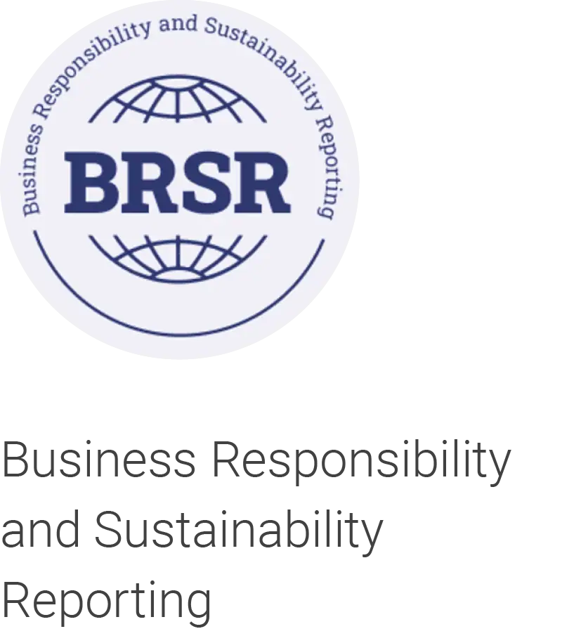 Business responsibility icon