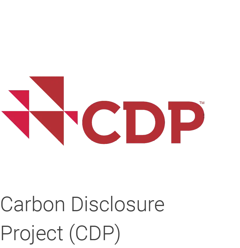 Carbon disclosure icon